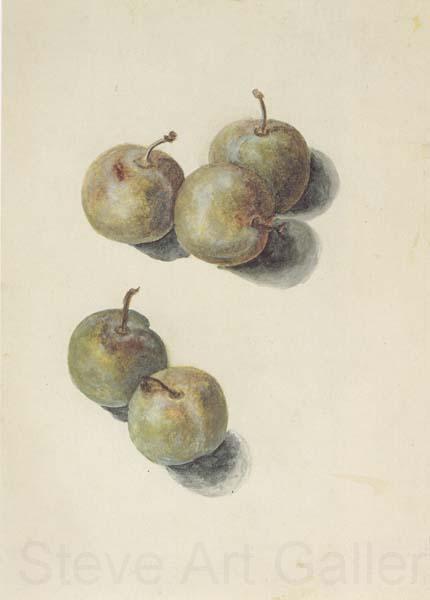 Edouard Manet Etude de cinq prunes (mk40) France oil painting art